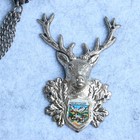 Antique Bavaria Charivari Traditional Costume Jewelry Made Of Silver W Feather