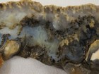 Dig-n-utah  Slab Graveyard Agate Jasper Rough    J 294