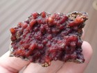 Botryoidal Fossil Coral Geode Fragment Ga Agate Amber Jewelry Specimen Gem Wc58