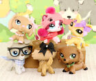 6lot Lovely Pet Shop Lps Shorthair Cat Dachshund Collie With Accessories Rare