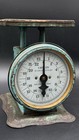 Antique Rustic Green Family Kitchen Scale 24lb Vintage