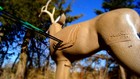 Shooter Buck 3d Deer Target For Archery Practice     Realistic Design