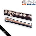 Louis Lott Wooden Flute H d Foot Cochic Wood Silver Head Circa 1860