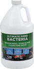 1 Gallon Pond Bacteria Water Treatment For Lakes Ponds And Water Gardens
