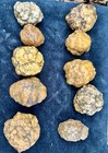 Lot Of 10 Small Unopened Geodes   Natural Crystal Rock Specimens Break-your-own