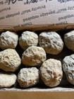 10-kentucky Geodes    all Rattle    1 1 2    To 2 1 2    