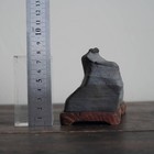 Suiseki Viewing Stone Bonsai Ornamental Stones Rock W8 2in  249
