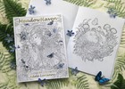 Meadowhaven A Fantasy Art Coloring Book For Adults By Adele Lorienne