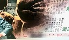 Original Japan Exclusive Toho Champion Festival Poster Godzilla Vs Mothra