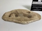 Hagen Renaker  353 3357 3 Wild Horses Base Last Of The Hr Factory Stock Bin