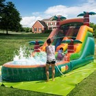 Commercial Kids Inflatable Water Slides Pvc Bounce House For Adults With Blower