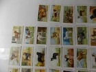 Gallaher Cigarette Cards Dogs 2nd Series 1938 Complete Set 48