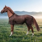 Mesh Horse Blanket Lightweight Horse Fly Sheet Breathable