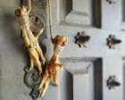 Chicken Feet  Luck Charm  Voodoo Protection  Gallus Domesticus  Oddities