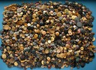 Antique Vintage Vegetable Ivory Buttons 6 5 Pounds 6 1 2 Lbs Huge Bulk Vi Lot