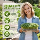 Organic Broccoli Seeds For Sprouting     Certified Non-gmo  Rich In Sulforaphan   
