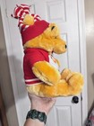 Disney Store Winnie The Pooh Plush Bear Snowman Sweater Hat Small 2001