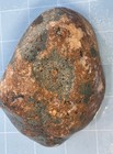 Natural Specimen Display Rock Lapidary Tumble Poppy Ocean Jasper