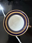 Rosenthal Winifred Gold   Cobalt Blue Teacup   Saucer Set