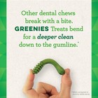Greenies Original Large Natural Dog Dental Care Chews  36 Oz  Pack  24 Treats 