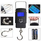 Portable Digital Hanging Scale Travel Luggage Electronic Fish Hook Scale 110lbs