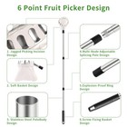 Fruit Picker Pole With Basket Telescoping 13ft Adjustable Apple Picker Pole W   