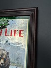 Miller High Life Brown Bear Bar Mirror Beer Sign Wildlife Breweriana