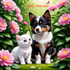 Piouspets com - Pet Store- Pet Sitting Or Dog Walking Business