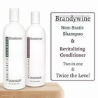 Non Static Shampoo   Conditioner For Synthetic   Natural Hair Wigs  16 Oz
