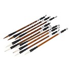  9 Pcs Chinese Water Brush Pen Ink Color Brush Chinese Japanese Calligraphy 