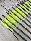 Dozen  12  Gold Tip Warrior 340 Spine Fletched Carbon Arrows 4  Vanes