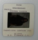 Original Braveheart Studio Stamped 35mm Slide Transparency Mel Gibson