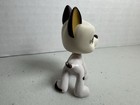 Littlest Pet Shop  577 White Brown Great Dane With Brown Blue Clover Eyes