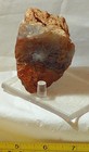 Carey Plume Agate 8 8 Oz Lapidary Rough  250 Grams 