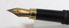 Terzetti Crown Grey Metal Fountain Pen- Iridium M Nib converter gift Box pouch