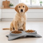 Stainless Steel Feeder Pet Dog Cat Bowl Non-skid Double Bowls Food water Dish