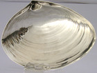 Unusual Sterling Silver Seashell Shaped Dish Wallace C1900 Antique 94g American