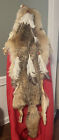 Rare Vintage Large Authentic  Full Fox Body Head Dress  Native American  Exc Con