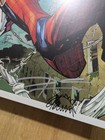Spider-man Marvel Comic Art Print Signed By R  Stegman   D  Cates  nycc 21 