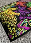 Foo Fighters Foil Ap Poster Bridgeport 2026 Brad Klausen Signed   30