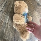 First   Main  1794 Dean Teddy Bear Stuffed Animal 9 In Plush Toy W green Scarf
