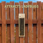 Rustic Handmade Ladybug House  Backyard Insect Hotel And Shelter