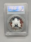 2006-w 20th Anniversary Proof American Silver Eagle Pcgs Pr 69 Dcam