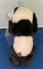 Ty Beanie Babies Panda Bear Plush Black   White Heart Tag Tag Protector 1993