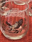 Set Of 8   90   s Libbey Sunoco American Wildlife    spotted Owl    Drinking Glasses