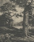 115 yr Old Art Original Antique Print Macwhirter Landscape Old Scotch Firs