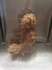 2019 Russ Berrie Light Brown tan Teddy Bear Plush 8  Stuffed Animal Toy 