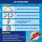 In The Swim Pool Ph Increaser - Soda Ash To Raise Ph Levels