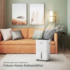50 Pint Dehumidifier With Drain Hose For Home   Basement  4500 Sq  Ft