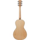 Ibanez Pf Series Pn2md Acoustic Guitar  Open Pore Natural